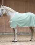 Abschwitzdecke 100% Baumwolle (für Ponys) — KI-generierte Beispieldarstellung