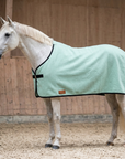 Abschwitzdecke 100% Baumwolle (für Ponys) — KI-generierte Beispieldarstellung