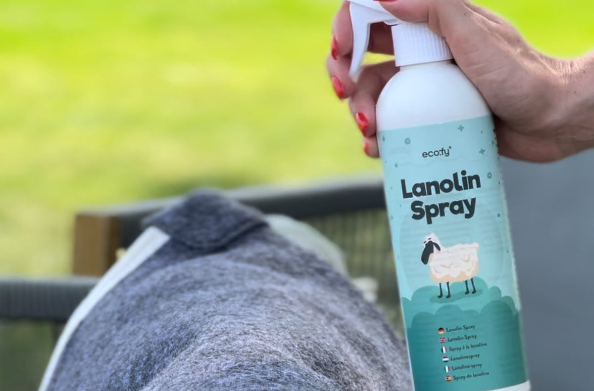 Hand sprüht eco:fy Lanolin Spray auf eine graue Wolldecke