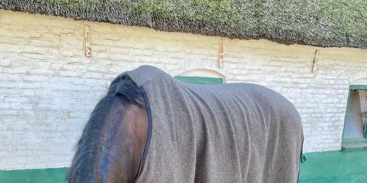 Braunes Pferd mit moosgrüner Wolldecke vor einem weiß getünchten Stall mit Reetdach