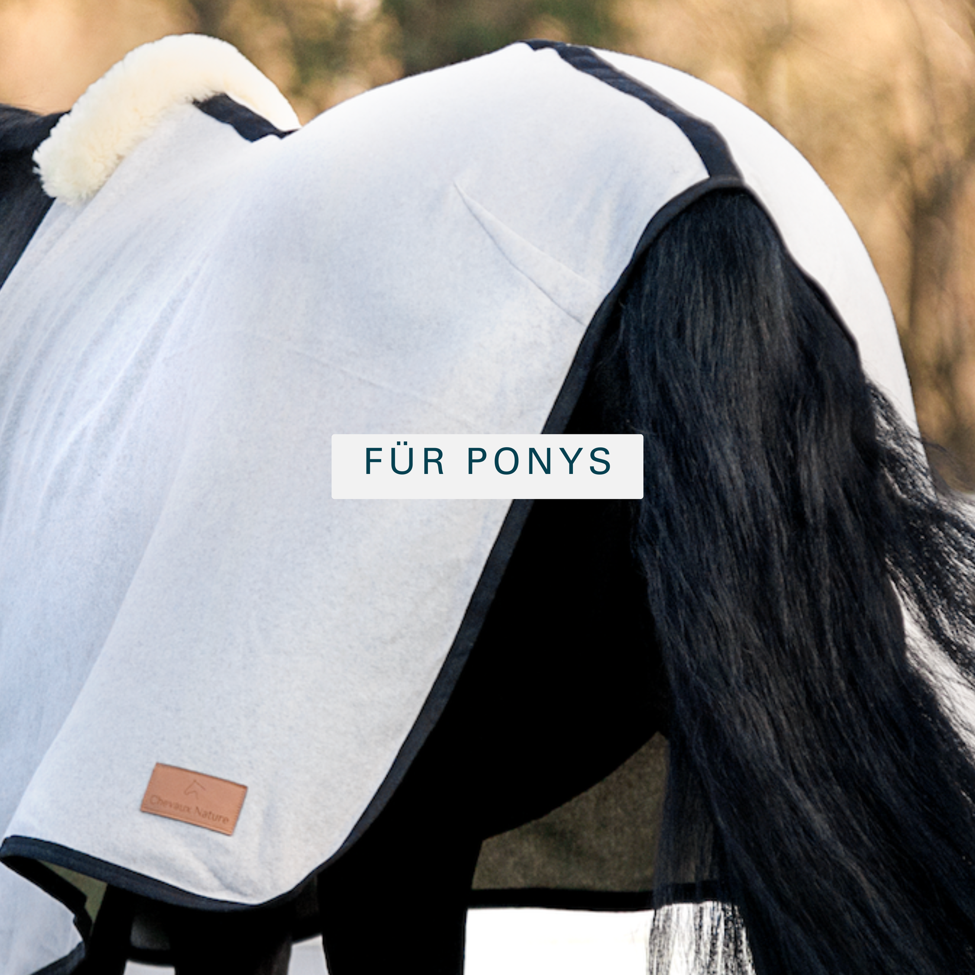 Black-and-white pony from behind wearing a light-coloured organic cotton cooler rug with lambskin trim, for ponies