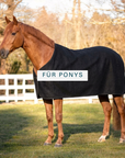 Chestnut horse in the paddock wearing a black wool cooler rug, for ponies