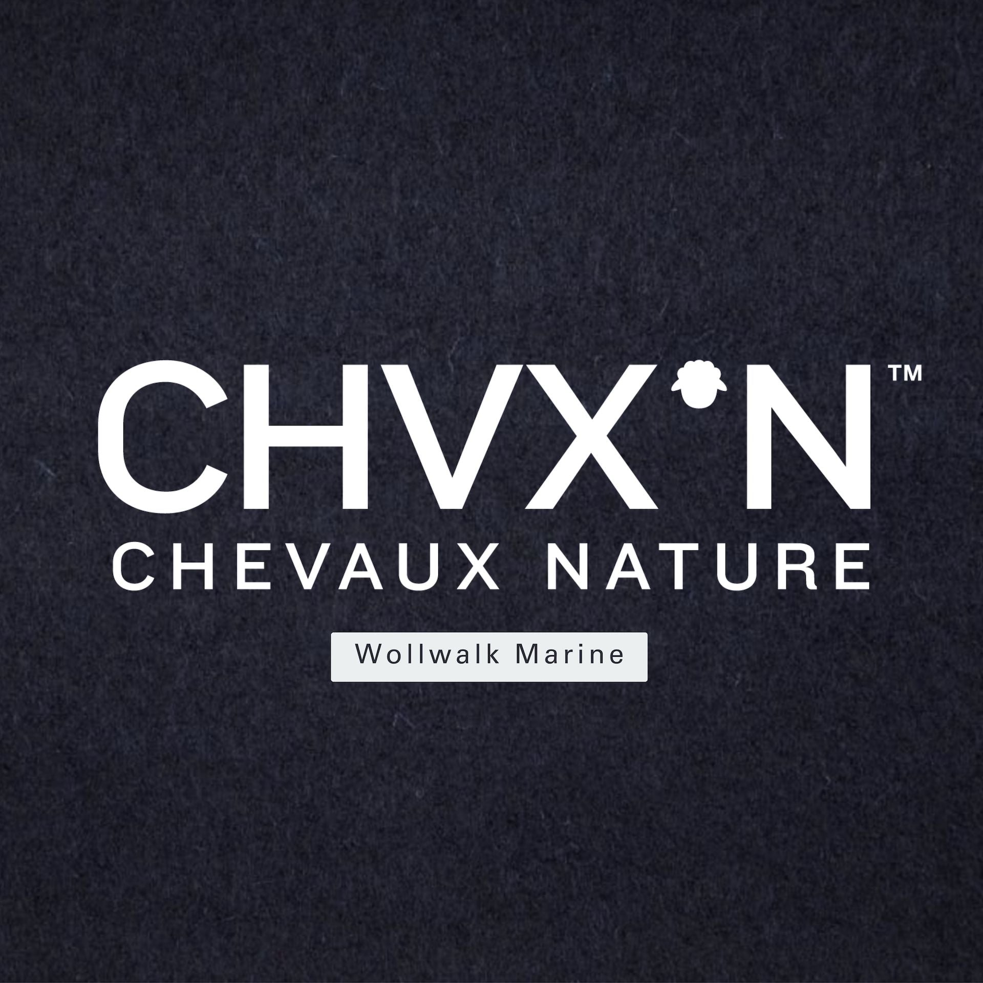 CHVX*N 盛装舞步马鞍垫\, image size:1920x1920