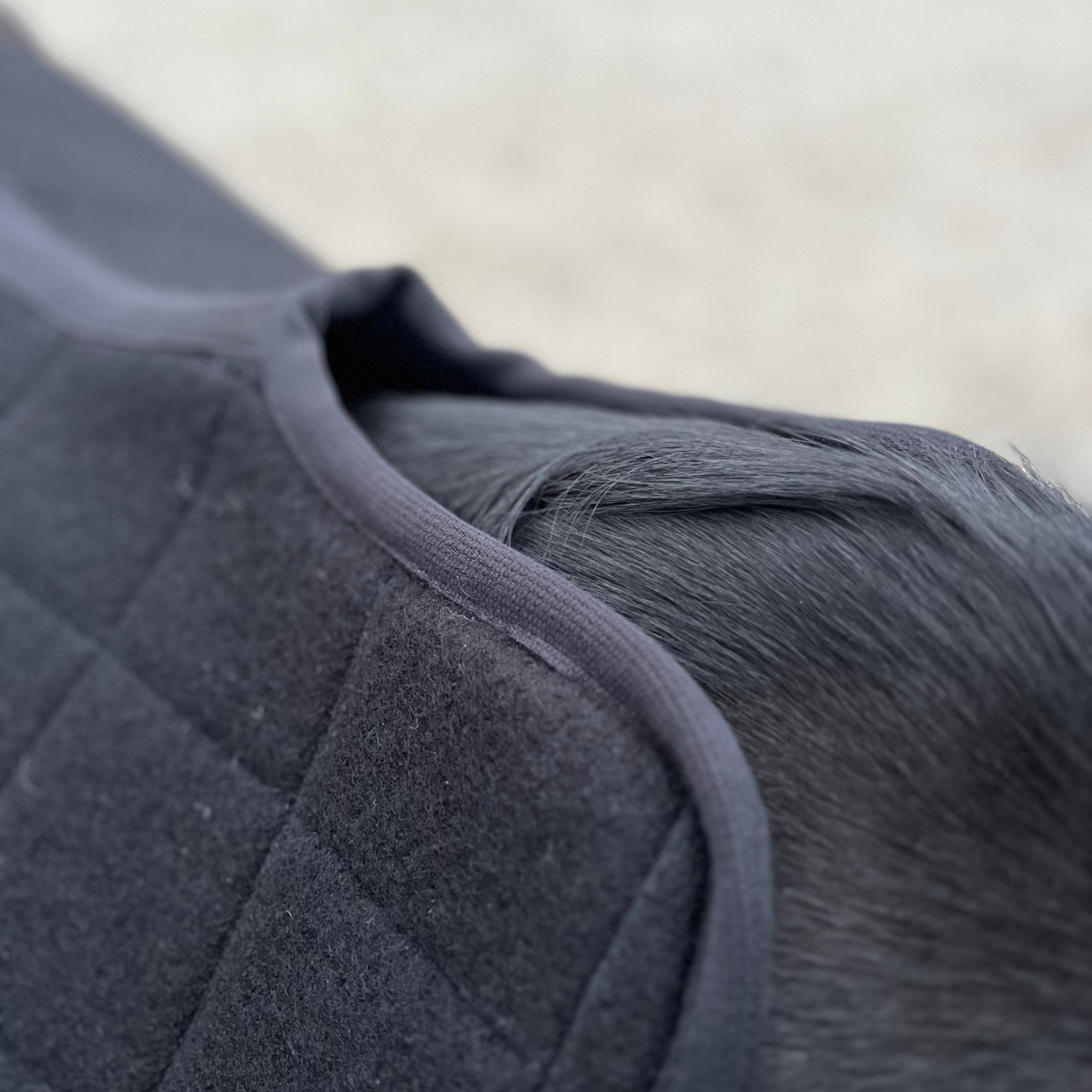 サドルパッド 馬場馬術 Relief