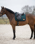 Caballo bayo en la pista de arena con una mantilla de doma azul petróleo de lana hervida