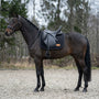 Dunkelbraunes Pferd mit schwarzer CHVX*N Dressurschabracke unter schwarzem Dressursattel