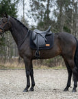 Cavallo baio scuro con un sottosella da dressage nero sotto una sella da dressage nera