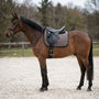 Cavallo baio in campo sabbia con un sottosella da dressage CHVX*N tortora sotto una sella da dressage nera